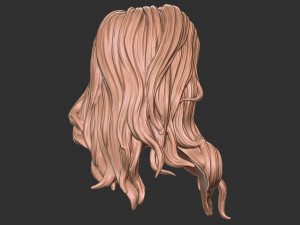 Hair 27 3D-Druckmodell