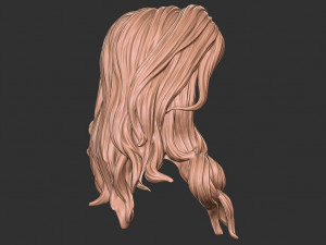 Hair 27 3D-Druckmodell