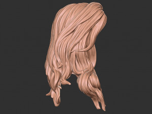 Hair 27 3D-Druckmodell