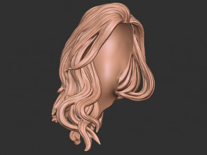 Hair 27 3D-Druckmodell