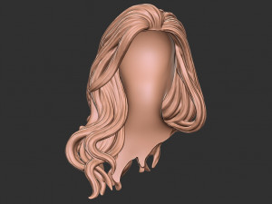 Hair 27 3D-Druckmodell