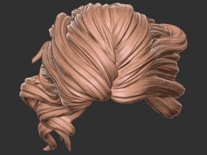 Hair 27 3D-Druckmodell