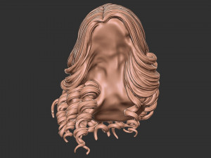 Hair 28 3D 프린트 모델