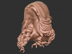 Hair 28 3D Print Model