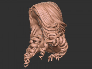 Hair 28 3D 프린트 모델