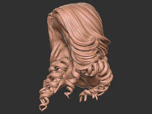 Hair 28 3D Print Model