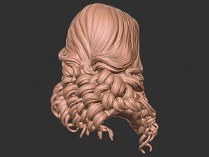 Hair 28 3D Print Model