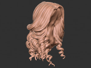 Hair 28 3D 프린트 모델