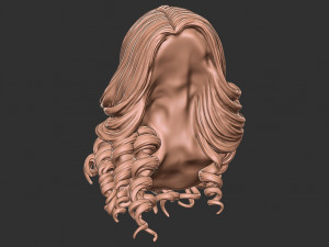 Hair 28 3D 프린트 모델