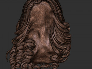 Hair 28 3D 프린트 모델
