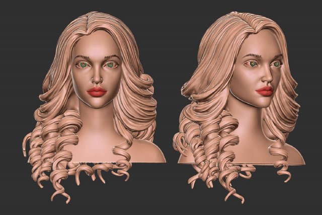 Hair 28 3D 프린트 모델 .c4d .max .obj .3ds .fbx .stl .blend 