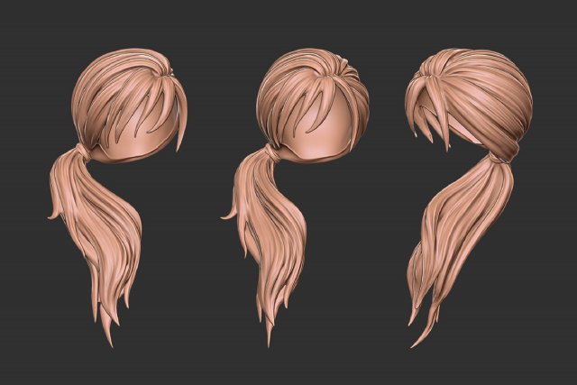 Hair 29 Modello di stampa 3D .c4d .max .obj .3ds .fbx .stl .blend 