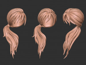 Hair 29 3D 프린트 모델