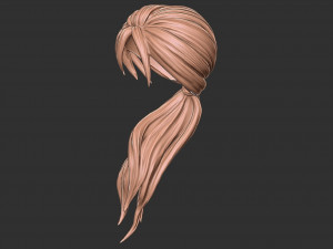 Hair 29 Modello di stampa 3D