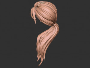Hair 29 Modello di stampa 3D