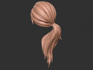 Hair 29 3D Print Model