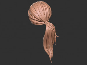 Hair 29 Modello di stampa 3D