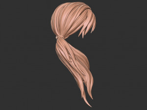 Hair 29 Modello di stampa 3D