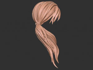 Hair 29 3D Print Model