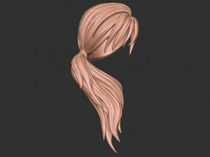 Hair 29 Modello di stampa 3D