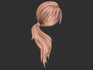 Hair 29 Modello di stampa 3D