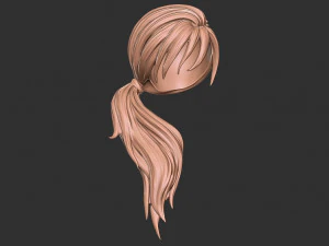 Hair 29 3D Print Model