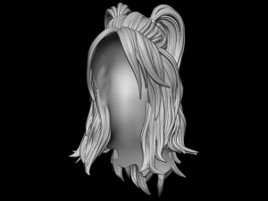 Hair 30 3D 프린트 모델