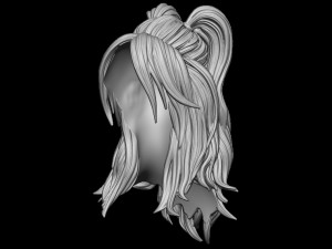 Hair 30 3D 프린트 모델