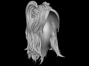 Hair 30 3D 프린트 모델