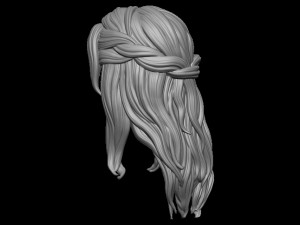 Hair 31 3D Print Model