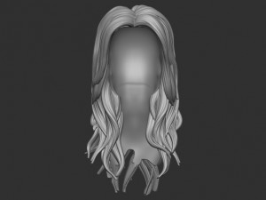 Hair 33 Modello di stampa 3D