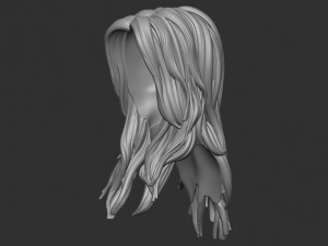 Hair 33 Modello di stampa 3D
