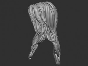 Hair 33 Modello di stampa 3D