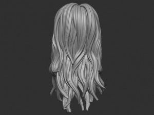 Hair 33 Modello di stampa 3D