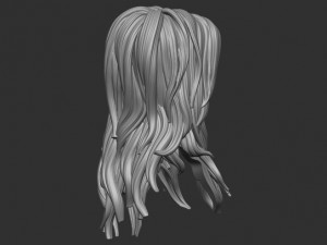 Hair 33 Modello di stampa 3D