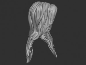 Hair 33 Modello di stampa 3D