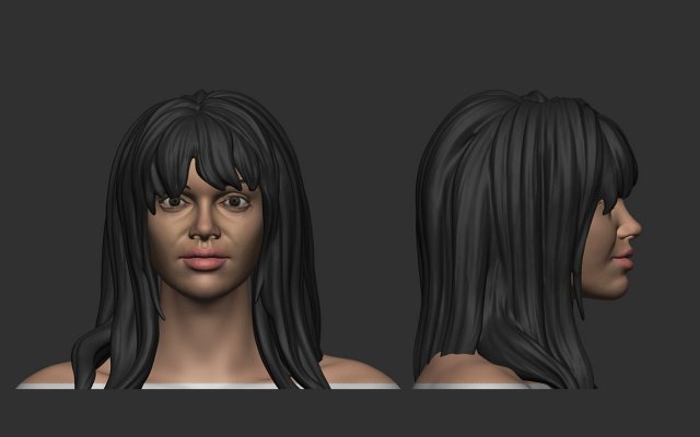 Hair 34 3D प्रिंट मॉडल .c4d .max .obj .3ds .fbx .stl .blend 