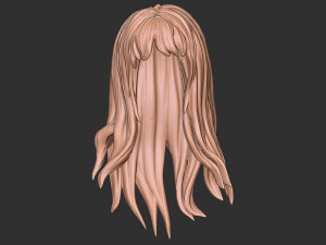 Hair 34 3D प्रिंट मॉडल