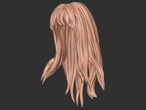 Capelli 34 Modello di stampa 3D