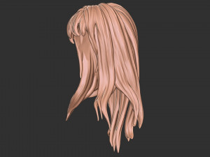 Hair 34 3D प्रिंट मॉडल