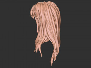 Hair 34 3D प्रिंट मॉडल
