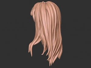 Capelli 34 Modello di stampa 3D