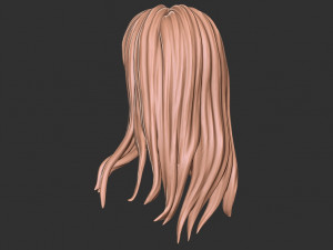 Hair 34 3D प्रिंट मॉडल