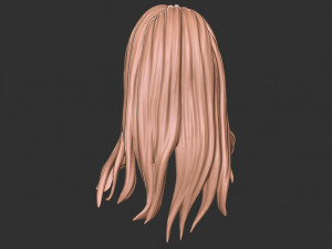Hair 34 3D प्रिंट मॉडल