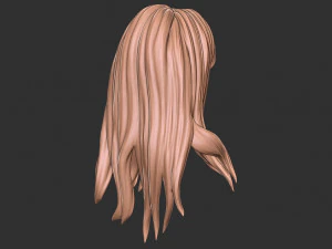 Capelli 34 Modello di stampa 3D