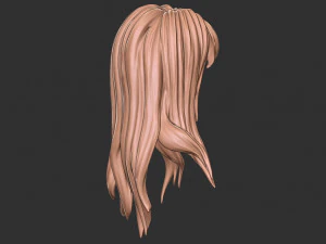 Capelli 34 Modello di stampa 3D
