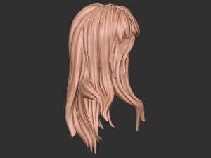 Hair 34 3D प्रिंट मॉडल