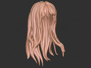 Capelli 34 Modello di stampa 3D