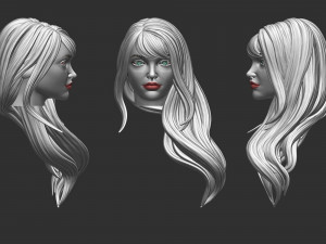 Hair 35 Modello di stampa 3D