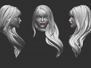 Волосы 35 3D Принт Модель